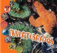 Cover image: Invertebrados 9781731656704