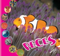 Cover image: Peces 9781731656728