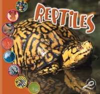 Cover image: Reptiles 9781731656735