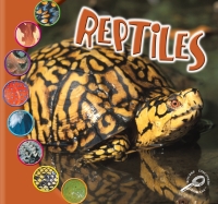 Imagen de portada: Reptiles 9781731656735