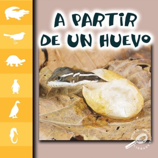 Cover image: A partir del huevo 9781731656834