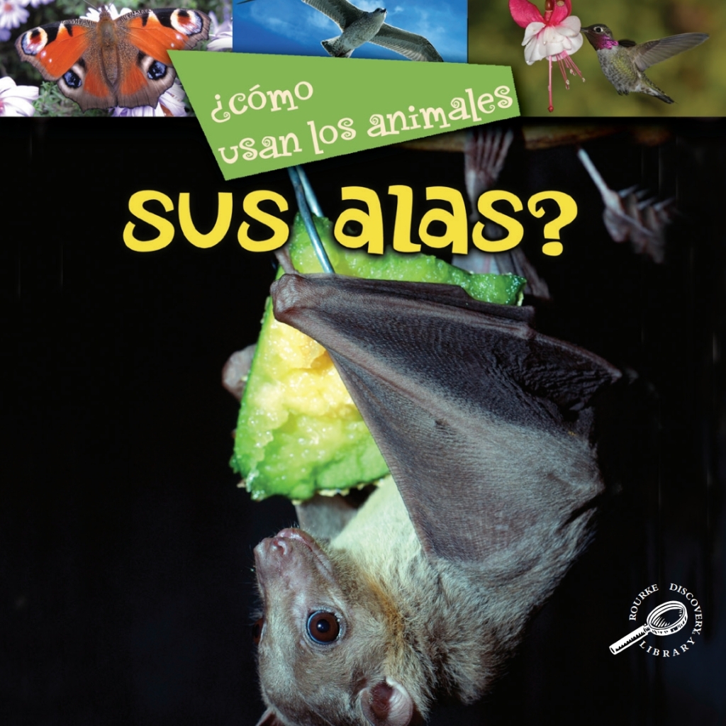 ¿Como usan los animales… sus alas? Their Wings?