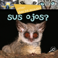 صورة الغلاف: ¿Como usan los animales… sus ojos? 9781731656926