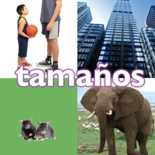 表紙画像: Tamaños 9781731656940
