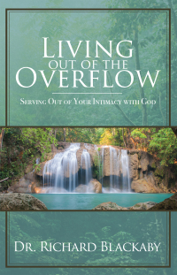 Cover image: Living Out of the Overflow 9780692842379