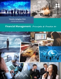 Imagen de portada: Financial Management 8th edition 9781732242500