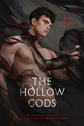 Cover image: The Hollow Gods 9781956136661