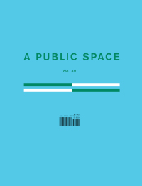 Imagen de portada: A Public Space No. 30 9781733973007
