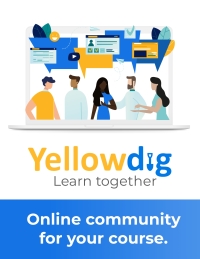 Imagen de portada: Yellowdig 1st edition 9781736271100