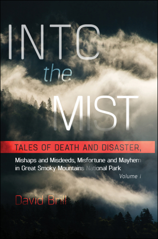Cover image: Into the Mist 2nd edition 9780937207871