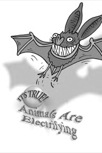 Imagen de portada: It's True! Animals are electrifying (11) 9781741143430