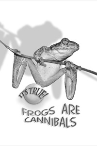 Omslagafbeelding: It's True! Frogs are Cannibals (2) 9781741142716