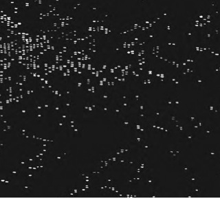 Imagen de portada: The Silence 1st edition 9781741751161