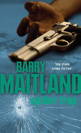 Cover image: Spider Trap 9781741751833