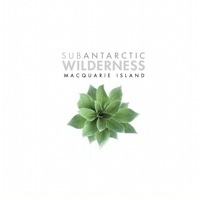 Imagen de portada: Subantarctic Wilderness 9781741753028