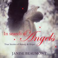 صورة الغلاف: In Search of Angels 9781742371016