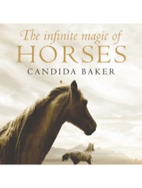 Omslagafbeelding: The Infinite Magic of Horses 9781742371009