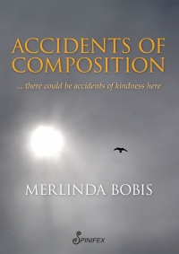 Imagen de portada: Accidents of Composition 1st edition 9781742199986