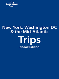 Cover image: Lonely Planet New York, Washington DC 9781741797312