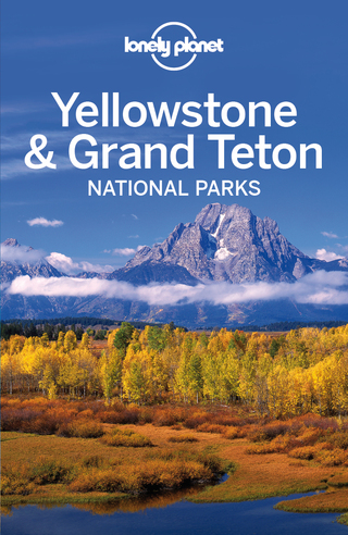 Cover image: Lonely Planet Yellowstone 9781741794076