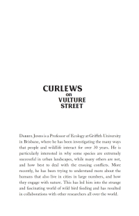 Cover image: Curlews on Vulture Street 9781742237367