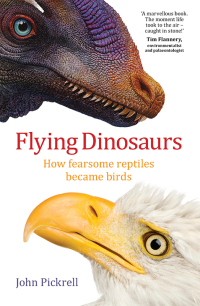 Imagen de portada: Flying Dinosaurs 9781742233666
