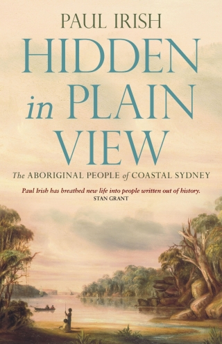 Imagen de portada: Hidden in Plain View 1st edition 9781742235110