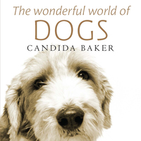 Cover image: The Wonderful World of Dogs 9781742374253