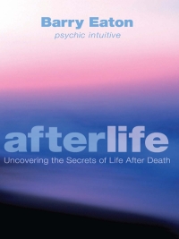 Cover image: Afterlife 9781742374840
