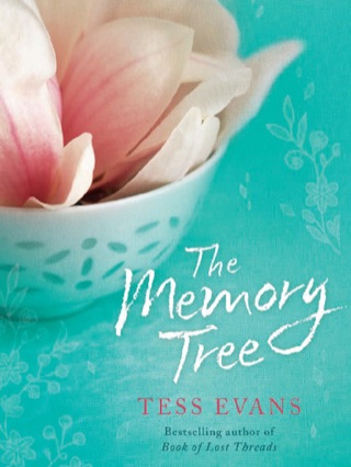 Cover image: The Memory Tree 9781742377896