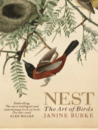 Cover image: Nest 1st edition 9781742378299
