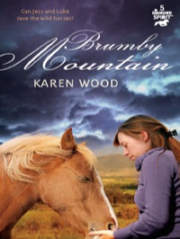 Cover image: Brumby Mountain (Diamond Spirit 5) 9781742378633