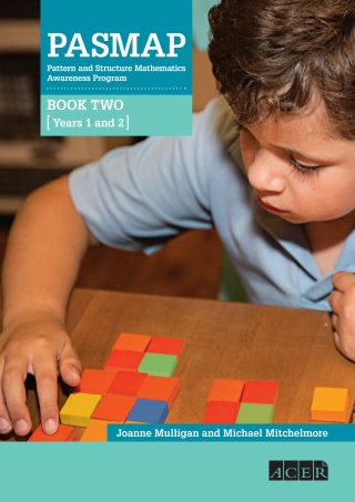 表紙画像: Pattern and Structure Mathematics Awareness Program 9781742862941