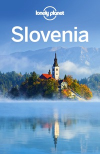 Imagen de portada: Lonely Planet Slovenia 9781741799439