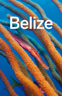 Imagen de portada: Lonely Planet Belize 9781742204444
