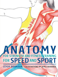 表紙画像: Anatomy for Strength and Fitness Training for Speed and Sport 9781847735430