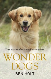 Cover image: Wonder Dogs 9781743313855