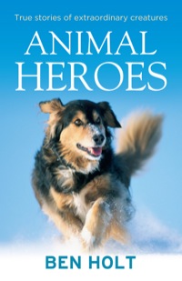 Cover image: Animal Heroes 9781743319291