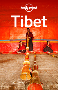 表紙画像: Lonely Planet Tibet 9781742200460