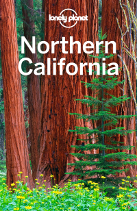 Omslagafbeelding: Lonely Planet Northern California 9781742207315