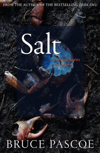 صورة الغلاف: Salt 9781760641580