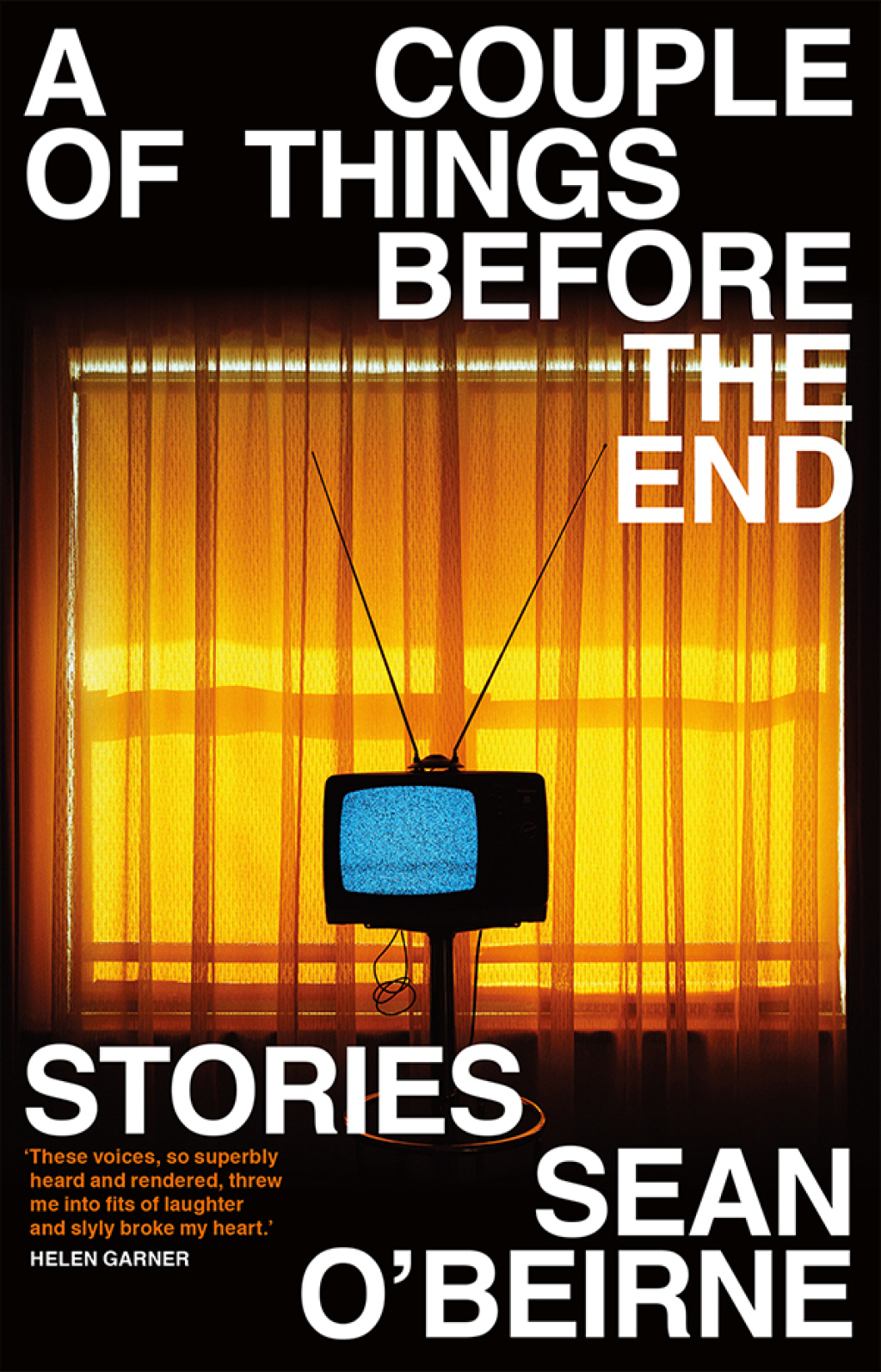A Couple of Things Before the End Stories