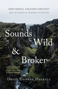 Cover image: Sounds Wild and Broken 9781760642587