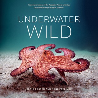 Cover image: Underwater Wild 9781760643485