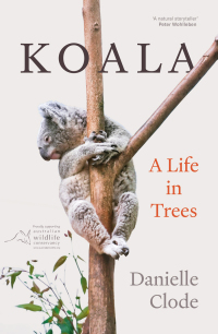 Cover image: Koala 9781760642884