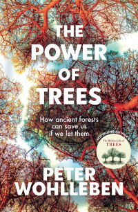 Cover image: The Power of Trees 9781760643621