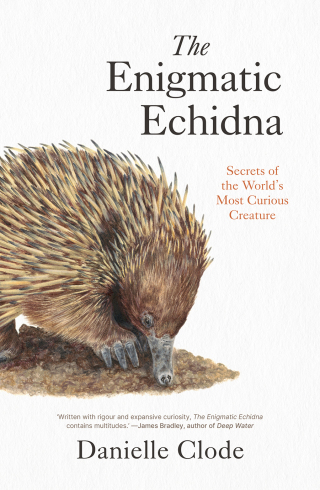 Imagen de portada: The Enigmatic Echidna 9781760645328