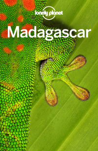 Cover image: Lonely Planet Madagascar 9781742207780