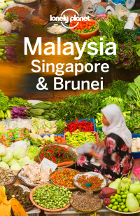 表紙画像: Lonely Planet Malaysia Singapore & Brunei 9781743210291
