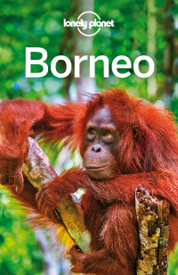 Cover image: Lonely Planet Borneo 9781743213940